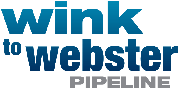 wink to webster logo